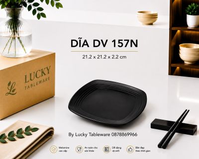 DĨA DV 157N NHÁM ĐEN