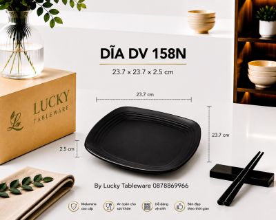 DĨA DV 158N NHÁM ĐEN