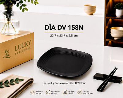 DĨA DV 158N NHÁM ĐEN