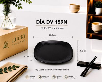 DĨA DV 159N NHÁM ĐEN