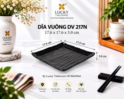 DĨA VUÔNG DV 217N NHÁM ĐEN