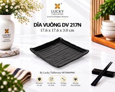 DĨA VUÔNG DV 217N NHÁM ĐEN
