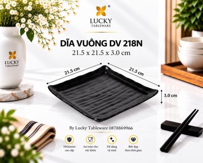 DĨA VUÔNG DV 218N NHÁM ĐEN