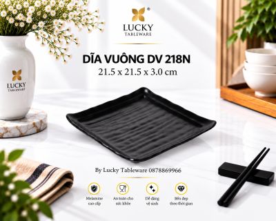 DĨA VUÔNG DV 218N NHÁM ĐEN