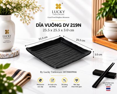 DĨA VUÔNG DV 219N NHÁM ĐEN