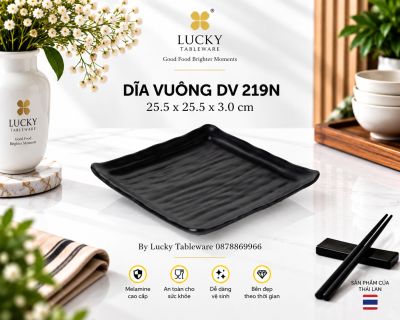 DĨA VUÔNG DV 219N NHÁM ĐEN