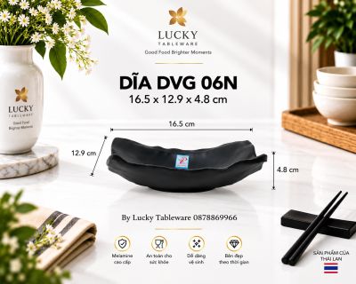 DĨA DVG 06N NHÁM ĐEN