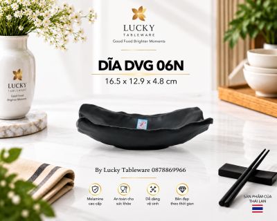 DĨA DVG 06N NHÁM ĐEN