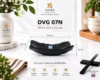 DĨA DVG 07N NHÁM ĐEN