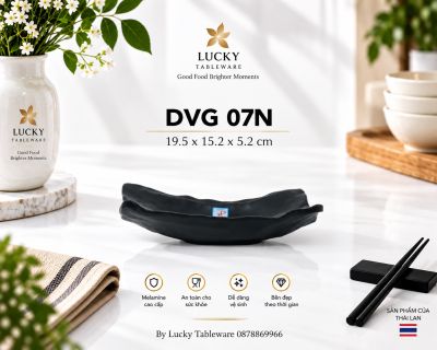 DĨA DVG 07N NHÁM ĐEN