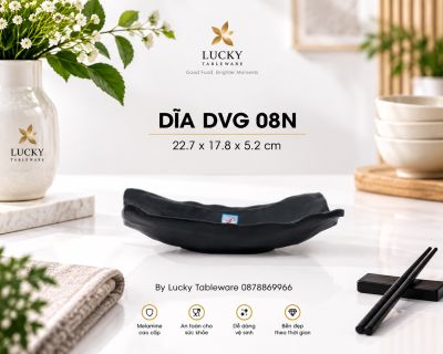 DĨA DVG 08N NHÁM ĐEN