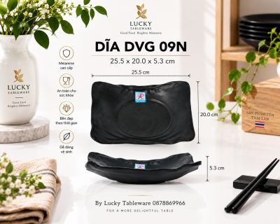 DĨA DVG 09N NHÁM ĐEN