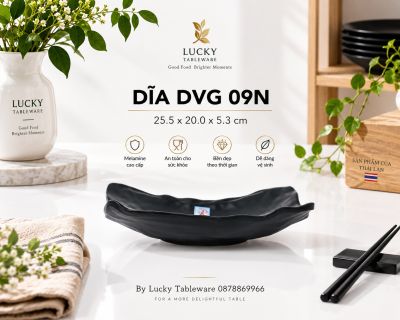 DĨA DVG 09N NHÁM ĐEN