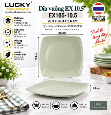 Dĩa vuông EX 10.5