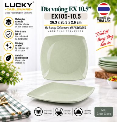 Dĩa vuông EX 10.5
