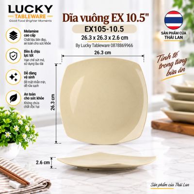 Dĩa vuông EX 10.5