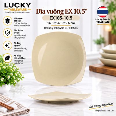 Dĩa vuông EX 10.5