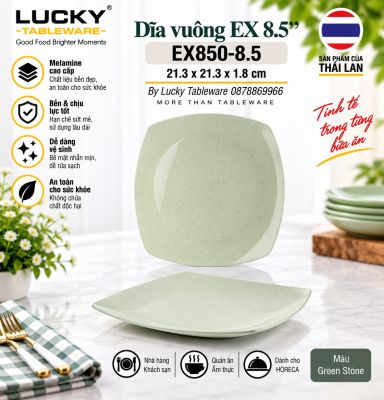 Dĩa vuông EX 8.5