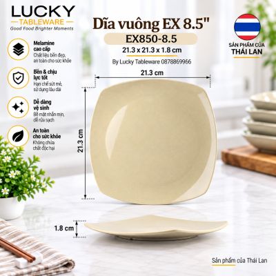Dĩa vuông EX 8.5