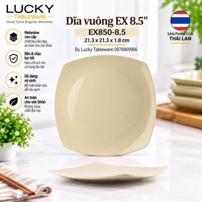 Dĩa vuông EX 8.5