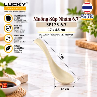 Muỗng Súp Nhám 6.7