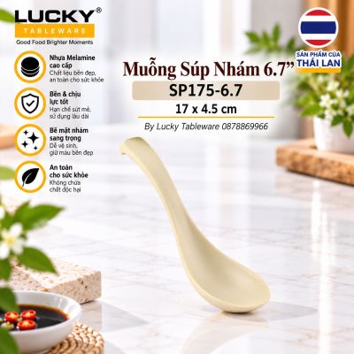 Muỗng Súp Nhám 6.7