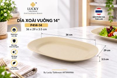 Dĩa xoài vuông 14