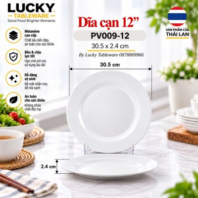 Dĩa cạn 12