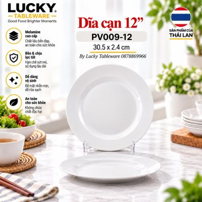 Dĩa cạn 12