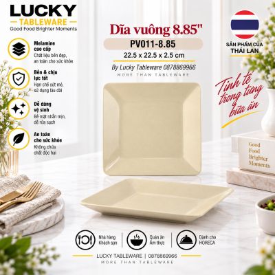 Dĩa vuông 8.85