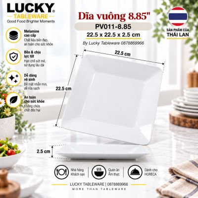 Dĩa vuông 8.85