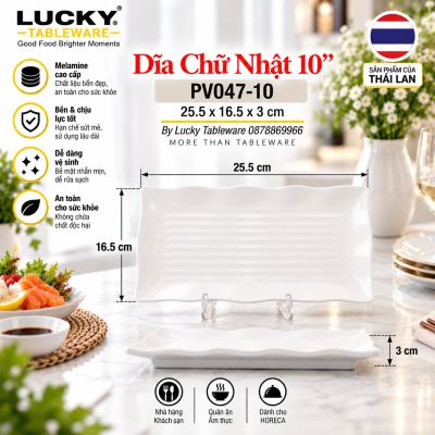 Dĩa Chữ Nhật 10