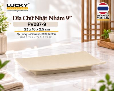 Dĩa Chữ Nhật Nhám 9