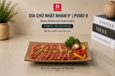 Dĩa Chữ Nhật Nhám 9