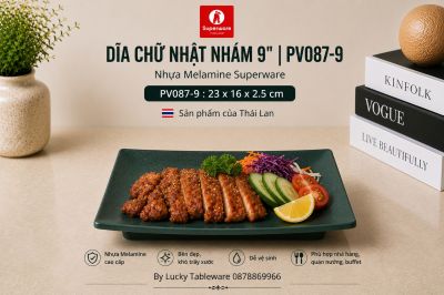 Dĩa Chữ Nhật Nhám 9