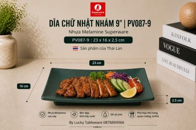 Dĩa Chữ Nhật Nhám 9
