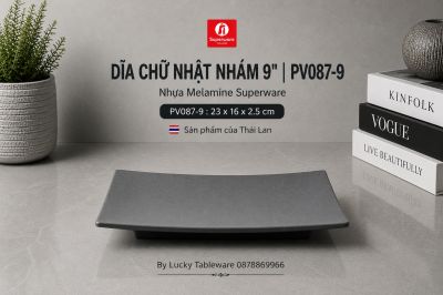 Dĩa Chữ Nhật Nhám 9