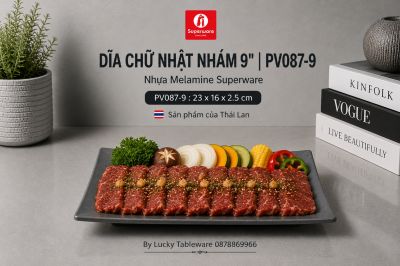 Dĩa Chữ Nhật Nhám 9