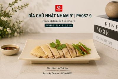 Dĩa Chữ Nhật Nhám 9