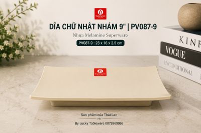 Dĩa Chữ Nhật Nhám 9