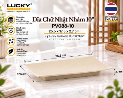 Dĩa Chữ Nhật Nhám 10