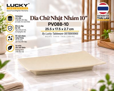 Dĩa Chữ Nhật Nhám 10