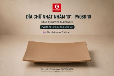 Dĩa Chữ Nhật Nhám 10