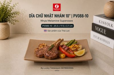 Dĩa Chữ Nhật Nhám 10