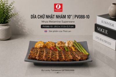 Dĩa Chữ Nhật Nhám 10