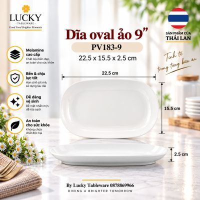 Dĩa oval ảo 9