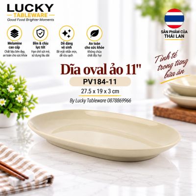 Dĩa oval ảo 11