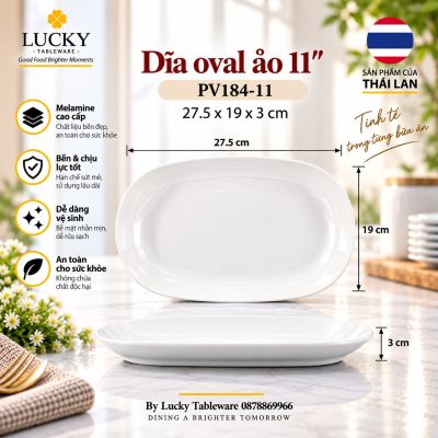 Dĩa oval ảo 11