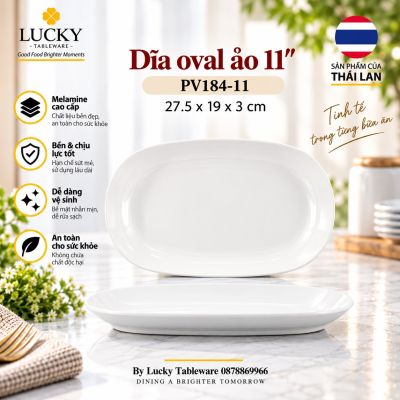 Dĩa oval ảo 11