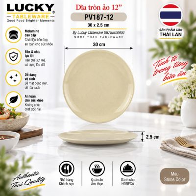 Dĩa tròn ảo 12